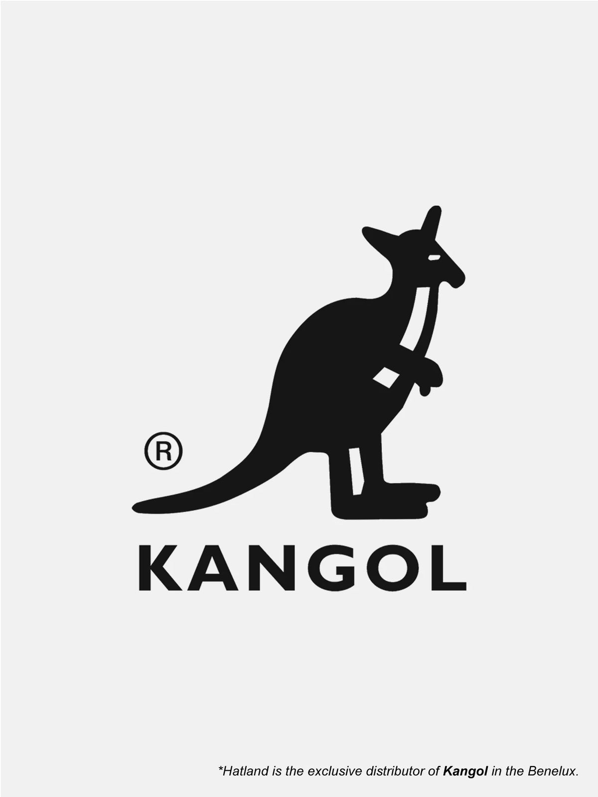 504 Kangol Dark Flannel